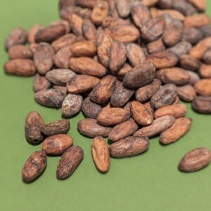 Wild Heirloom Bolivian Rio Beni Raw Beans - Wild Harvest