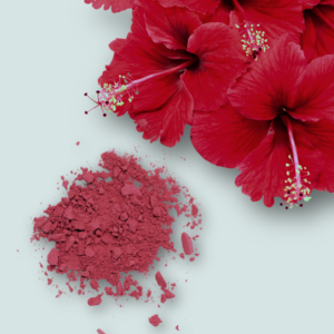 Freeze Dried Hibiscus (Jamaica) Flower Powder