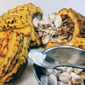 Freeze-Dried Cacao Fruit- 100% pulp powder